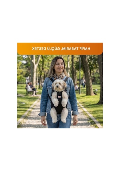 3.1 Phillip Lim Kedi Ve Küçük Irk Köpekler İçin Taşıma Çantası, Rahat Kullanım 0233 Orangeblue Cat