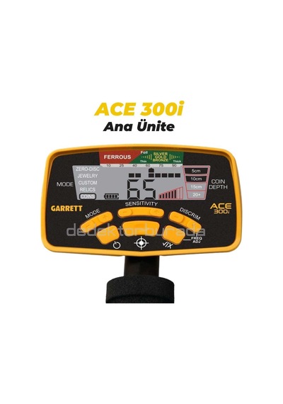 Garrett Ace300i