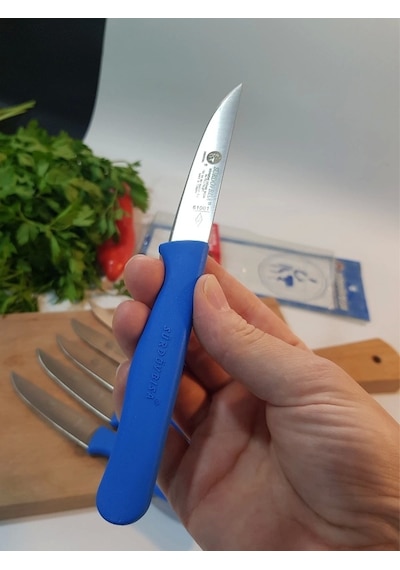 Sürbisa Meyve Takımı Mavi 6'lı 61007 7.0 Cm Çok Renkli