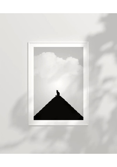 Çerçevesiz Poster Göğe Bakan Kedi