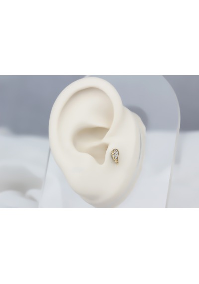 Glorria Altın Melek Kanadı Tragus Piercing Sarı