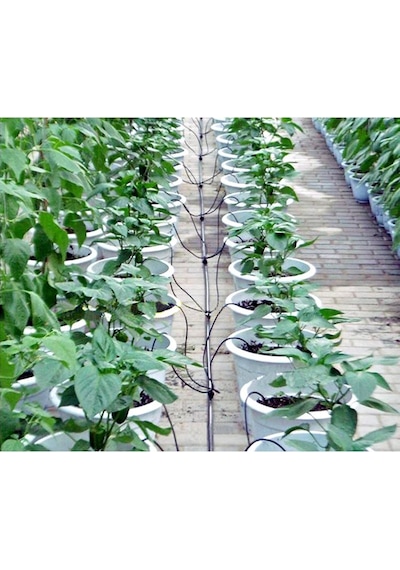 Cocopeat Ve Saksı Sulama Mikro Ok Aparat Seti X10 Ad