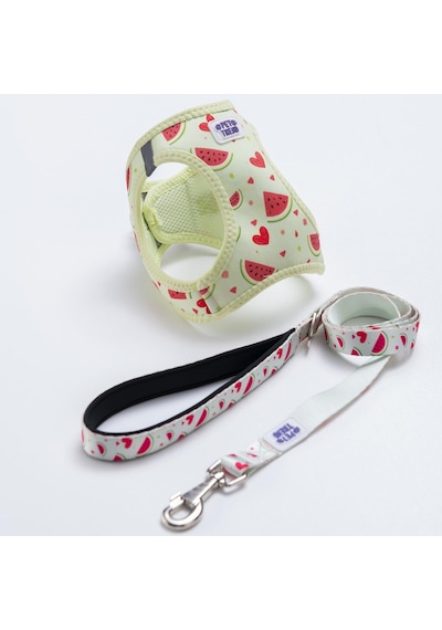 Summer Fresh Göğüs Tasması Ve Sevk Kayışı Tasma Seti Karpuzlu Kedi Köpek Göğüs Tasması Seti Yeşil