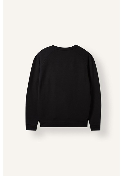 Defacto Standart Fit Bisiklet Yaka Dikiş Detaylı Baskılı Sweatshirt I0568ax26wnbk81 Siyah-bk81