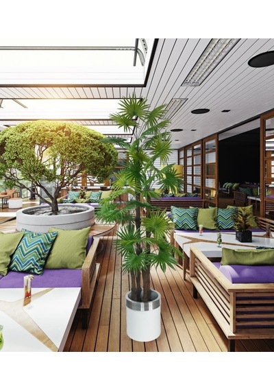 Yapay Ağaç Yelpaze Palmiye 4katlı Fanpalm 32 Yaprak Gümüş Kemerli Beyaz Saksıda 170 65cm