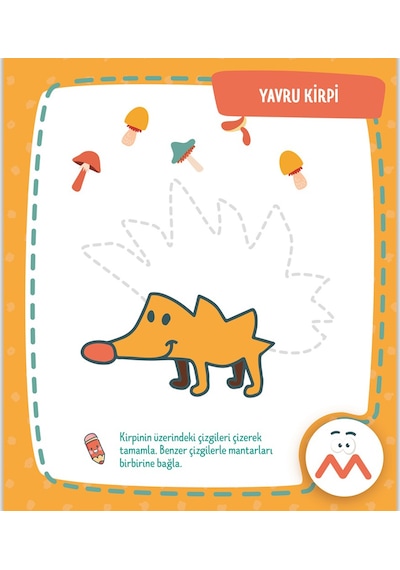 Eğitici Çizgiler Etkinlik Kitabı