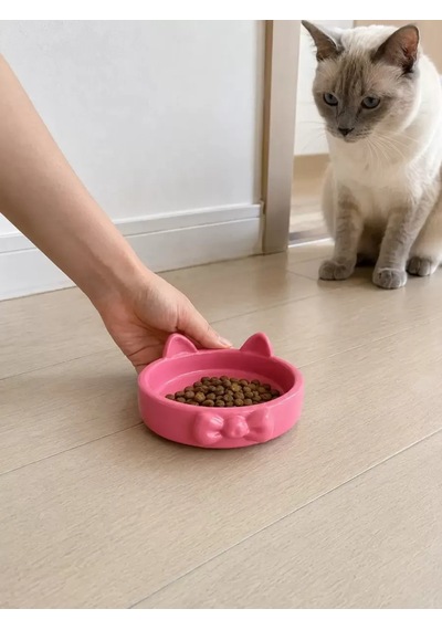 Hubrendy Sh Papyon Model Beton Kedi Köpek Mama Ve Su Kabı 16 Cm Çap - Pembe