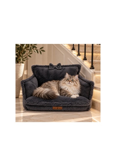 Peluş Fiyonklu Kedi Ve Köpek Koltuğu Tamamen Fermuarlı Çıkarılabilir İç Minder Boncuk Elyaf Kaydırmaz Taban Kedi Ve Köpek Yatağı Antrasit Peluş Gri 1715024309 Peluş Fiyonklu Kedi Ve Köpek Koltuğu Tamamen Fermuarlı Çıkarılabilir İç Minder Boncuk Elyaf Kaydırmaz Taban Kedi Ve Köpek Yatağı Antrasit Peluş Gri 1715024309