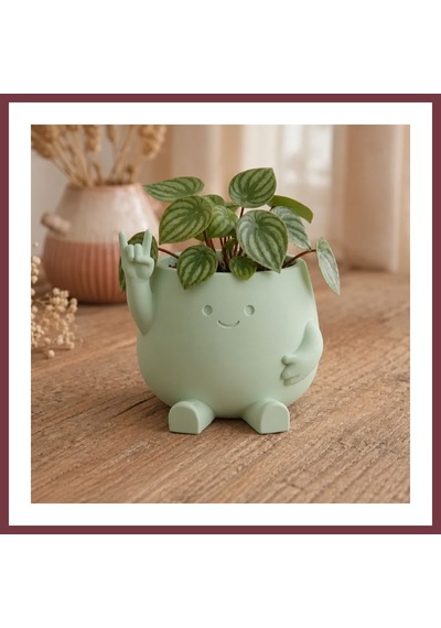 Storeşahin 3d Baskı Smiley Face Planter - Gülümseyen Karakterli Saksı-mint Shn0720