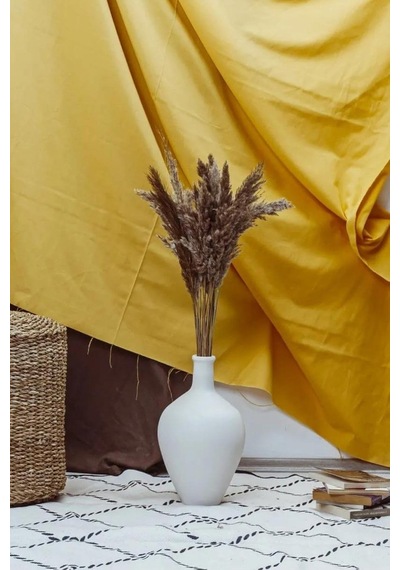 Alyones 10 Adet Natural Kabarık Pampas Diğer
