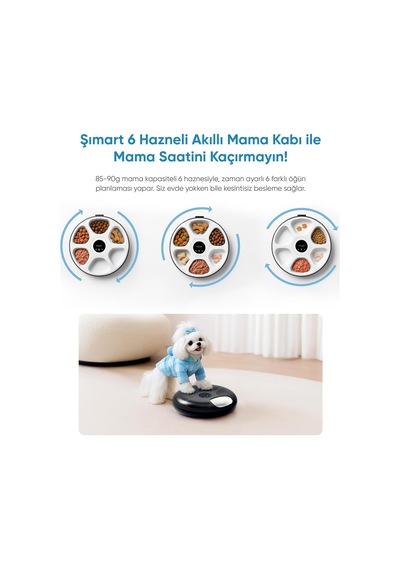 Tr Şımart 6 Hazneli Akıllı Mama Kabı, Yaş Mama Uyumlu Ve Buz Paketli