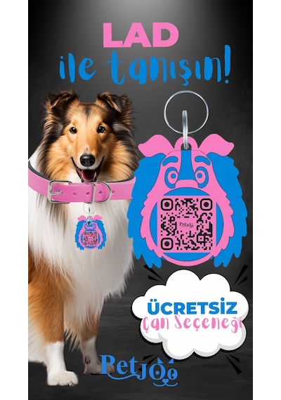 Petjoo 23.Lad Mavi-Pembe Qr'lı Köpek Künyesi