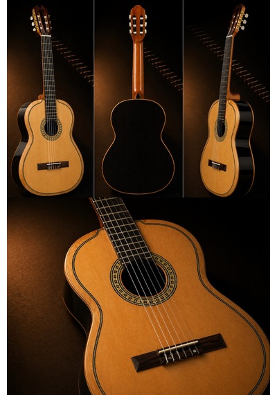 Torres Cg70 Profesyonel Klasik Gitar 4/4 Masif Ladin Üst Kapak Sahne & Konser Serisi - 8697001418466
