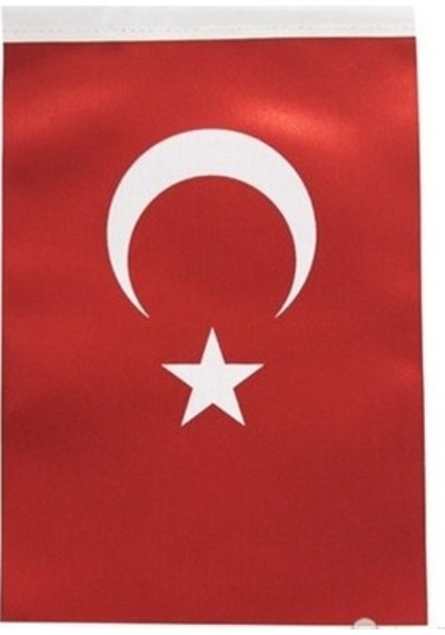 Bayrak Türk Bayrağı 30CM X 45CM 5 Adet