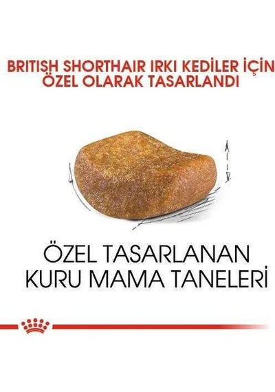 Royal Canin British Shorthair İçin Özel Irk Yetişkin Kedi Maması 400 Gr
