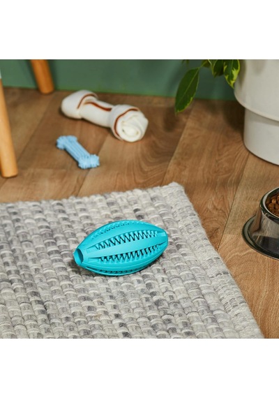 Köpek Rugby Topu Oyuncağı, Dental, 11 Cm