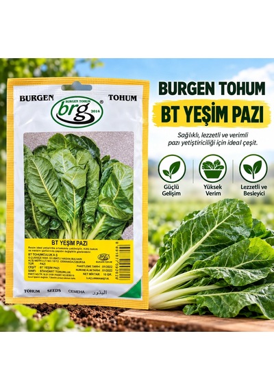 Pazı Tohumu 10 Gr