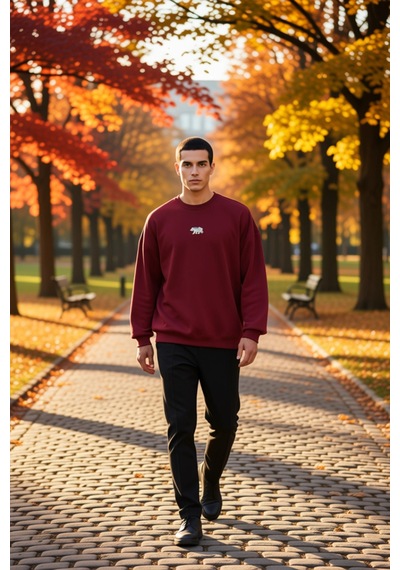 Benerly Erkek Bisiklet Yaka Standart Kol Oversize Fit Sweatshirt Fonksiyo Bordo