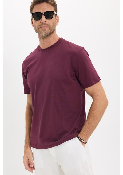 Tudors Erkek Loose Fit Rahat Kesim %100 Pamuk Yumuşak Dokulu Kısa Kollu Bordo Bisiklet Yaka Tişört-52807 Tudors Erkek Loose Fit Rahat Kesim %100 Pamuk Yumuşak Dokulu Kısa Kollu Bordo Bisiklet Yaka Tişört-52807