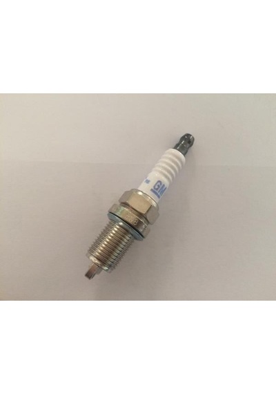 Gm 95519055 Atesleme Bujisi Çift Tırnak   Germany