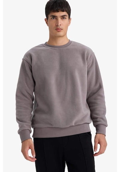 Defacto Relax Fit Bisiklet Yaka Polar Sweatshirt F3685ax25wngr308 Gri-gr308