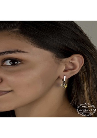 Swarovski Crystal Taşlı Gümüş Beyaz Kalp Sallantılı Kadın Küpe Diğer