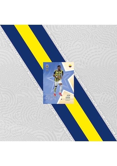 Fenerbahçe 2025-26 Sezon Kartları - Metal Kutu