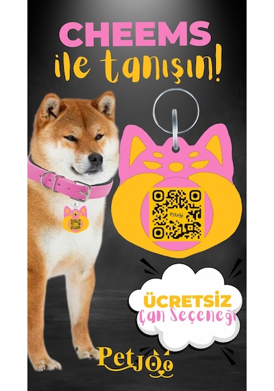 Petjoo 18.Cheems Sarı-Pembe Qr'lı Köpek Künyesi