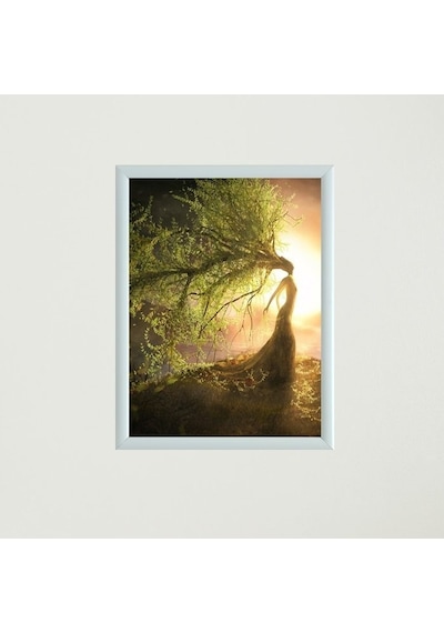 Çerçeveli Poster Tablo T1331