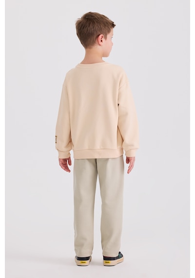 Panço Erkek Çocuk Baskılı Bej Sweatshirt 2611bk08002 Krem