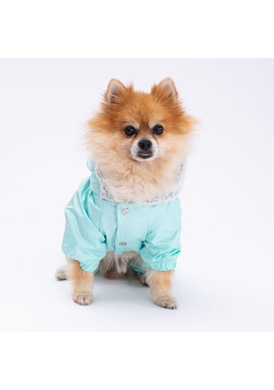 Pettrend Mint Kürklü Tulum Küçük Irk Köpek Yağmurluğu