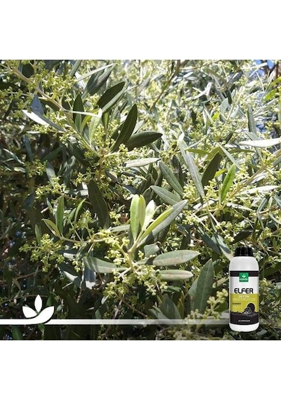 Elfer Zeytin | Zeytine Özel Mikro Bitki Besin Karişimi 1 Litre