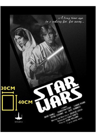 Star Wars Luke And Leia Black And White Glass Poster