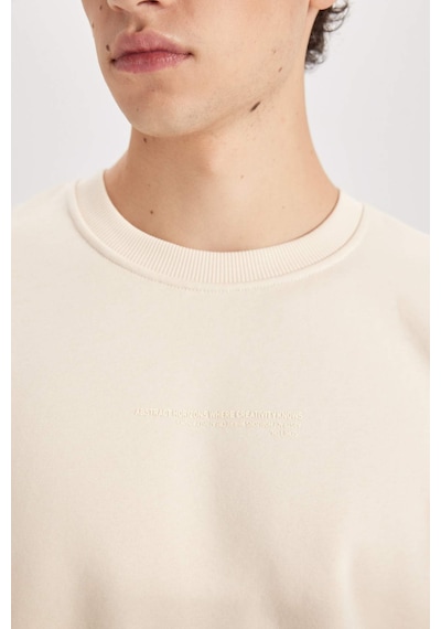 DeFacto Boxy Fit Bisiklet Yaka Baskılı Sweatshirt X8282AZ24AUBG700 Bej
