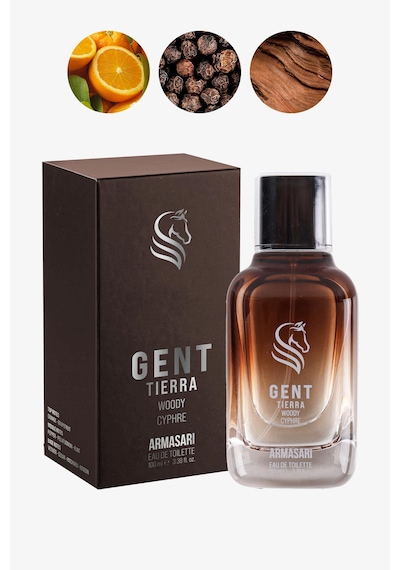 Armasari Gent Tierra Odunsu Uzun Süre Kalıcı 100 Ml Edp Erkek Parfüm