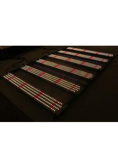 480w Lm281b Bitki Yetiştirme Lambası Full Spektrum