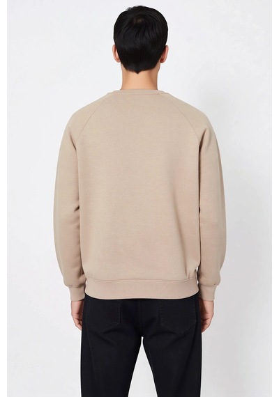 Benerly Erkek Bisiklet Yaka Reglan Kol Slogan Baskılı Regular Kalıp Sweat Vizon