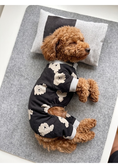 Doggy Köpek Uyku Takımı Pamuklu Penye Köpek Tulumu Ve Mini Yastık Küçük Irklar İçin Tüy Dökülmesini Siyah 2XL