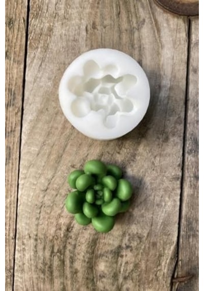 Concept Moonstone Sukulent Mum Kalıbı Silikon