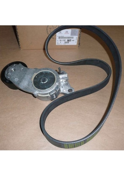 V Kayışı - Alfa Romeo Spider, Gtv, 155 - 1611277880 47322007