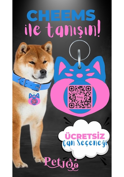 Petjoo 18.Cheems Pembe-Mavi Qr'lı Köpek Künyesi