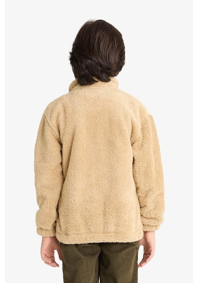 Defacto Erkek Çocuk Fermuarlı Yaka Nakışlı Pelüş Sweatshirt G2946a825wnbg360 Bej