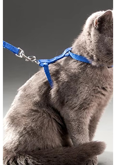 Thentech Kedi Sırt Tasması Kancalı Sağlam Kedi Tasması Göğüs Tasması Park Gezileri İçin Tasma