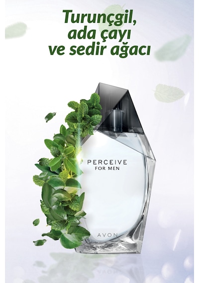 Avon Perceive Erkek Parfüm ve Full Speed Erkek Parfüm İkili Paket