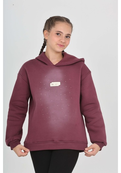 Toontoy Kız Çocuk Taş Dizaynlı Sweatshırt Mor