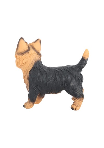 Model Köpek Sarı Siyah Yorkshire Terrier