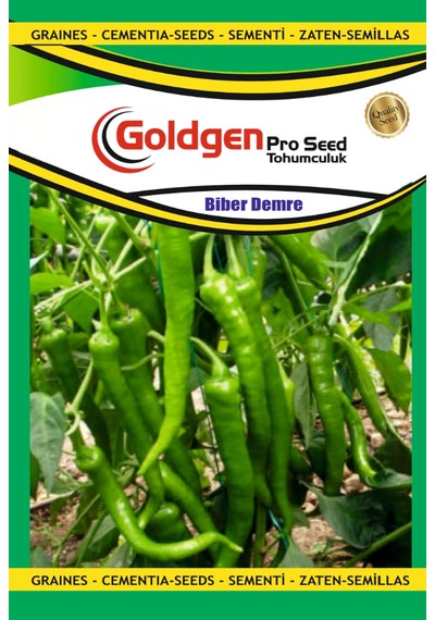 Goldgen Demre Biber Tohumu 1 Paket