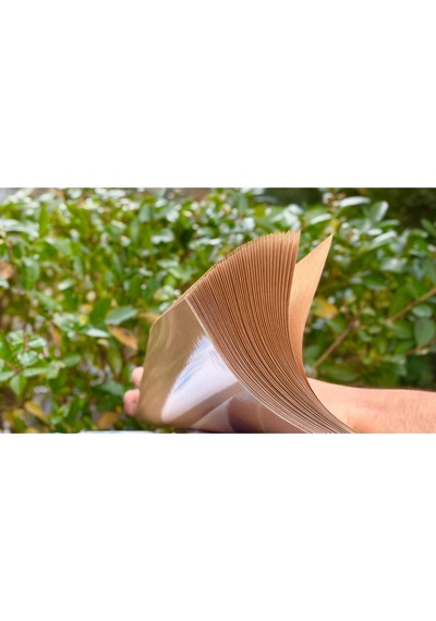 180 Gr Tek Taraflı Laminasyonlu Silikonlu Oto Paspas 35x50 Cm Suya Dayanıklı Dezenfektanlı 4 Adet