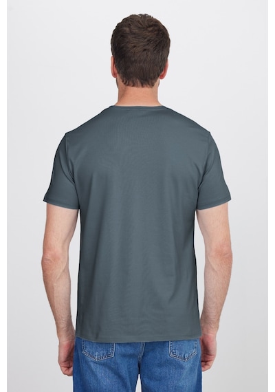 Tudors Erkek Slim Fit Dar Kesim Pamuklu Yumuşak Doku Esnek Kumaş Basic Gri Bisiklet Yaka Tişört-52097
