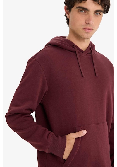 Defacto Regular Fit Kapüşonlu İçi Yumuşak Tüylü Bordo Erkek Sweatshirt X8283az/br230 Bordo Defacto Regular Fit Kapüşonlu İçi Yumuşak Tüylü Bordo Erkek Sweatshirt X8283az/br230 Bordo